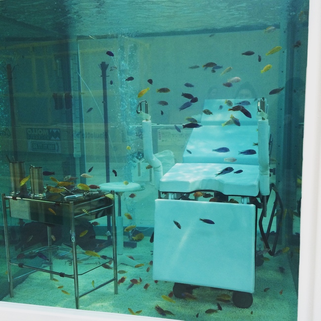 Damien Hirst’s fish tank from 1999 – <Lost Love> – fills one of three adjacent structures from the original Cisteria